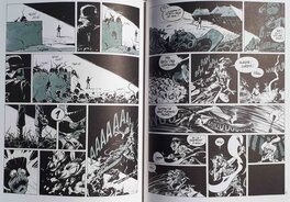 Planches 28 et 29