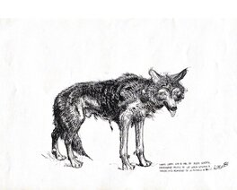 Adolfo Usero - Un loup déchu - Original Illustration