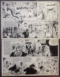 La Planche originale au format entier : 38 X 49,5 Cm La Planche originale au format entier : 38 X 49,5 Cm