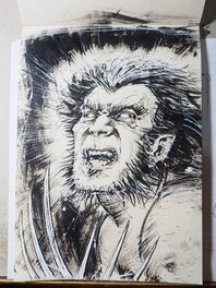 Krzysztof Budziejewski - Wolverine - Original Illustration