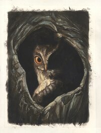 Benjamin Lacombe - Hibou « Bambi » - Original Illustration