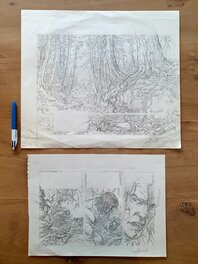 Un bic pour donner une idée de grandeur Un bic pour donner une idée de grandeur