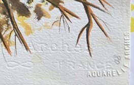Dress -papier Arche pour aquarelle Dress -papier Arche pour aquarelle