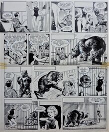 Bill Lacey - Princess - Comic Strip