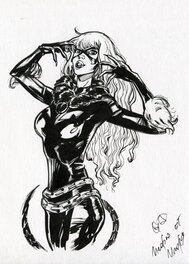 Black Cat