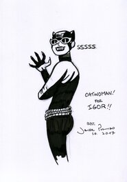 Catwoman by Javier Pulido