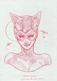 Catwoman by Laura Braga