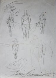 Andréi Arinouchkine - Prelim - Œuvre originale