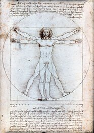 Homo vitruvianus by Leonardo da Vinci