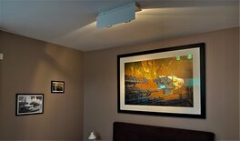 In situ In situ