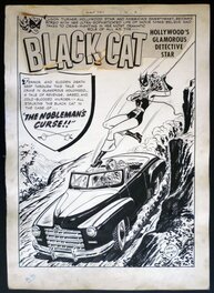 Black Cat