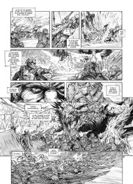 Pierre-Denis Goux - Nains tome 16 planche 37 - Planche originale