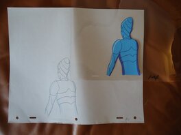 2/6 2/6