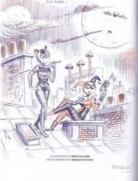 Catwoman et Harley Quinn chez les Spéctaculaires