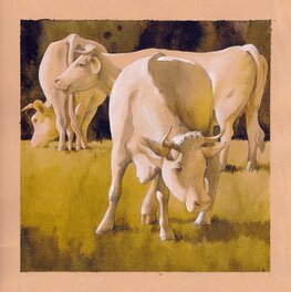 Les vaches (série Normandie).