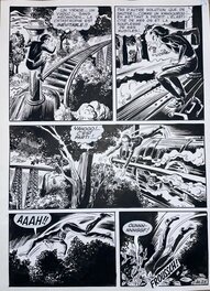Planche originale précédente (n°24). Planche originale précédente (n°24).