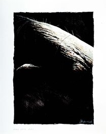 Christophe Chabouté - Moby Dick - Ilustration - Illustration originale