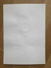 Verso de la feuille Verso de la feuille