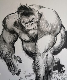 Kong ! Kong !