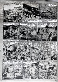 Planche 2 Planche 2