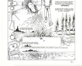 Partie inférieure de la planche