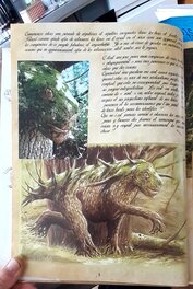 Page 8 Page 8