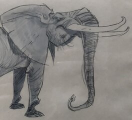 Détail tête Détail tête