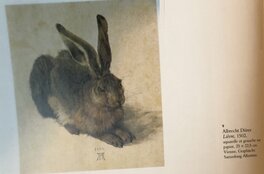 Lièvre par Dürer pour illustrer les propos de la citation Lièvre par Dürer pour illustrer les propos de la citation