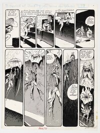 Bernard Hislaire - Bidouille et Violette, Tome 3, La Reine des glaces - Comic Strip