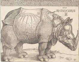 Dürer's 16th century rhinoceros Dürer's 16th century rhinoceros
