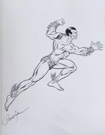 Paul C. Ryan - Namor the submariner - Original Illustration