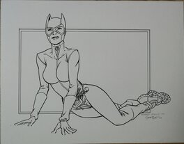 Robert Atkins - Catwoman Illustration - Original Illustration