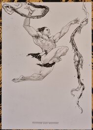 Tarzan, Seigneur de la Jungle Illustration