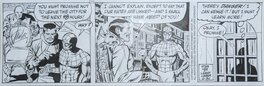 Larry Lieber - The Amazing Spider-Man: Newspaper Comic Strip - 30/06/1992 - Comic Strip