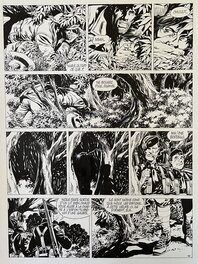 Jean-Yves Mitton - De SILENCE ET DE SANG  T8  les 4 provinces de l’ave maria  Planche 14 - Comic Strip