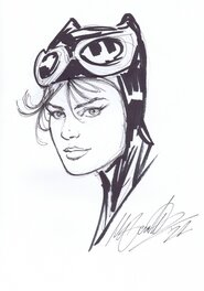 Catwoman par Santucci