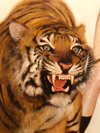 Tiger detail Tiger detail