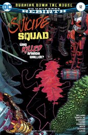 Suicide Squad (#12, cover)