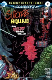 Suicide Squad (#12, cover) Suicide Squad (#12, cover)