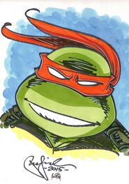 Peter Laird - Tortues Ninja : Michelangelo - Illustration originale