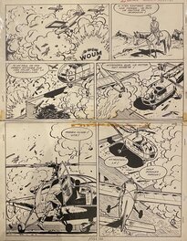 Arthur Piroton - Michel et Thierry - Les St Bernard du Toit du Monde - p20 - Comic Strip