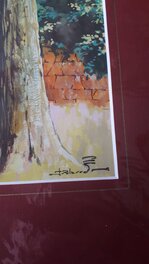 Signature Signature