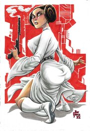 Doc Goose - Star Wars Princesse Leia Organa - Illustration originale