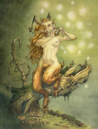 Faunette musicale, le bois des vierges