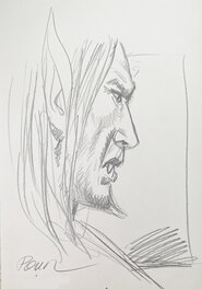 Dracula - L'Ordre des dragons (tome 1)