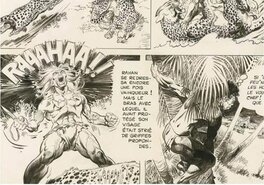 Case 3, planche 6, l'herbe miracle Case 3, planche 6, l'herbe miracle