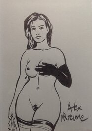 Sketch - Varenne Alex Dessin Top Dédicace Superbe Pin up Brune sein gant noir Album Art Book Peintures TT PlexiDream Éo Zanpano 2009 NEUF