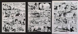 Triptyque planches 35-36-37 Triptyque planches 35-36-37
