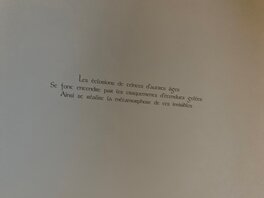 Ana Ana