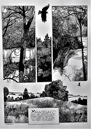 Sergio Toppi - Planche ORIGINALE SERGIO TOPPI - Planche originale